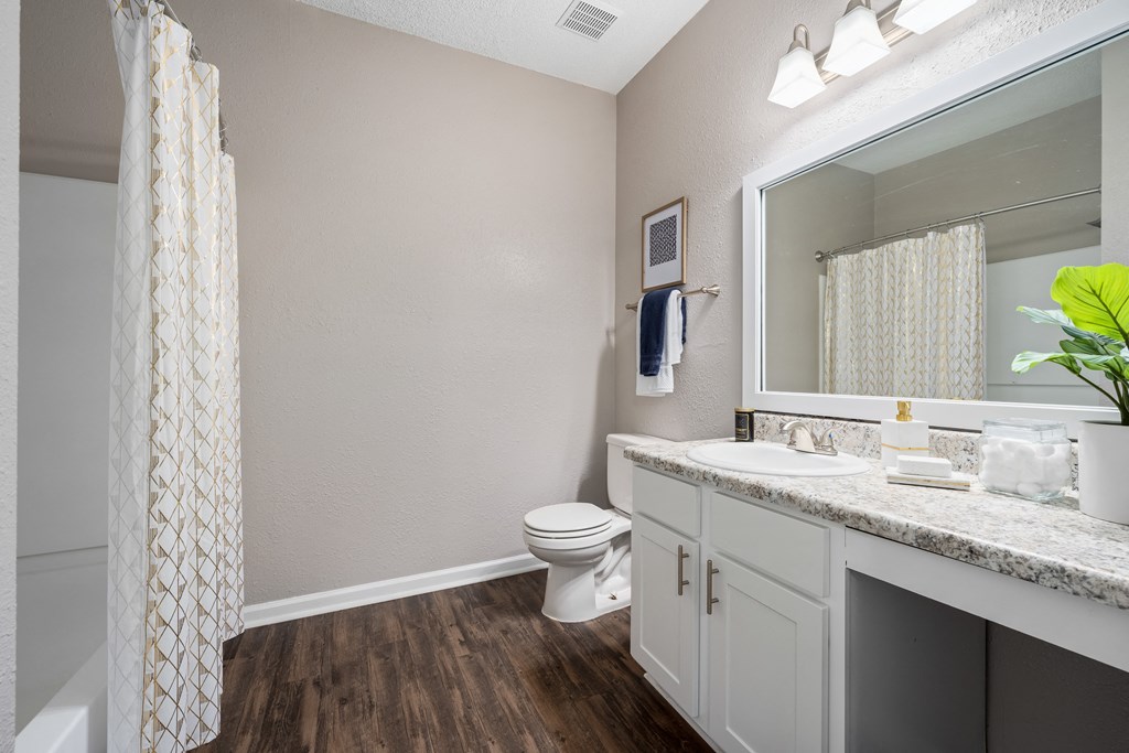 Model Bathroom at Chace Lake